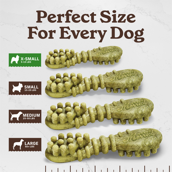 Merrick Fresh Kisses Mint Dental Dog Chews Extra Small