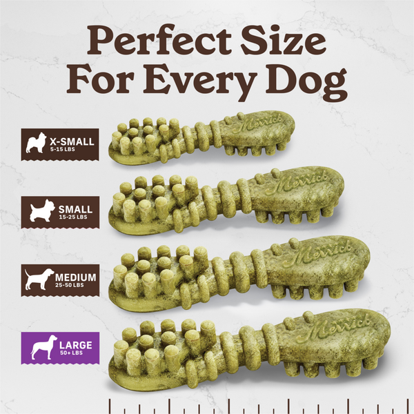 Merrick Fresh Kisses Mint Dental Dog Chews Large