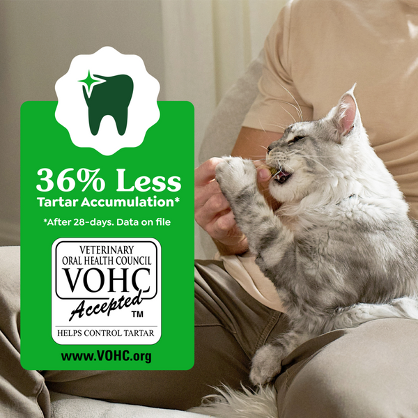 Feline Greenies Adult Dental Oven Roasted Chicken Flavor Cat Treats