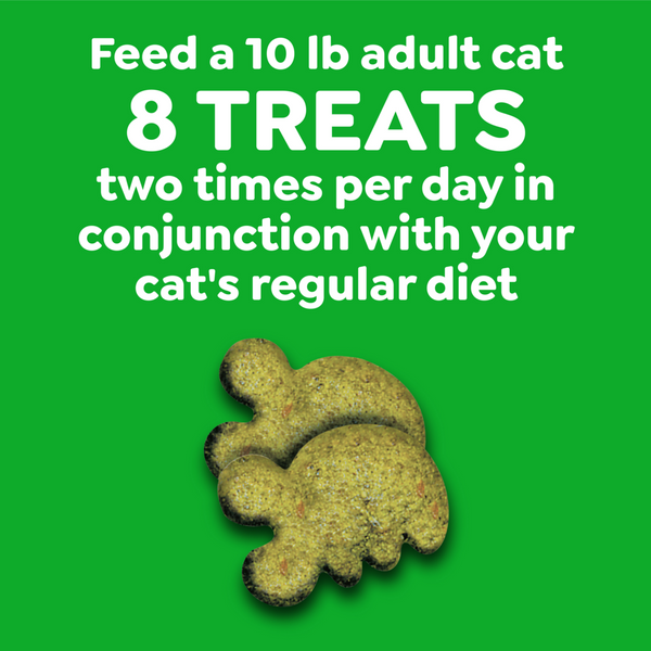 Feline Greenies Adult Dental Savory Salmon Flavor Cat Treats