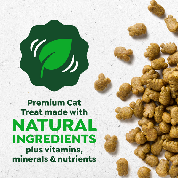 Feline Greenies Adult Dental Savory Salmon Flavor Cat Treats