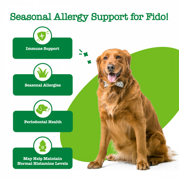 Zesty Paws Hemp Elements Aller-Immune Orastix Dental Chews for Dogs