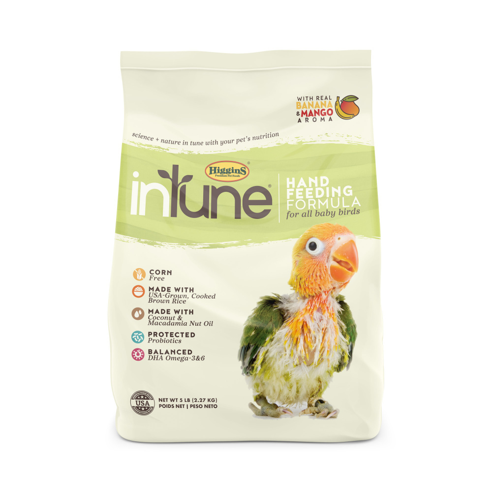 Higgins inTune Hand Feeding Formula Baby Bird Food Paws n Play