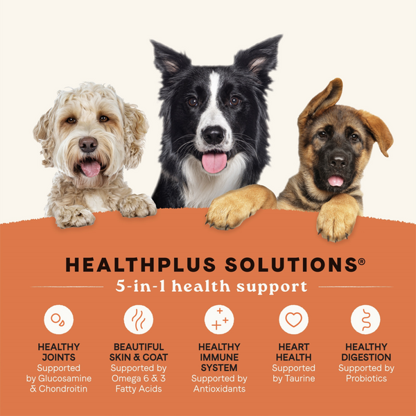 Canidae All Life Stages Real Salmon & Ancient Grains Dog Food