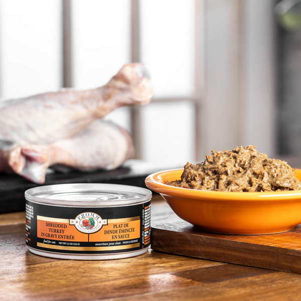 Fromm Four Star Shredded Turkey and Gravy Cat Food