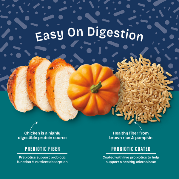 Natural Balance Health Protection Puppy Dry Dog Food, Chicken, Brown Rice & Pumpkin Recipe