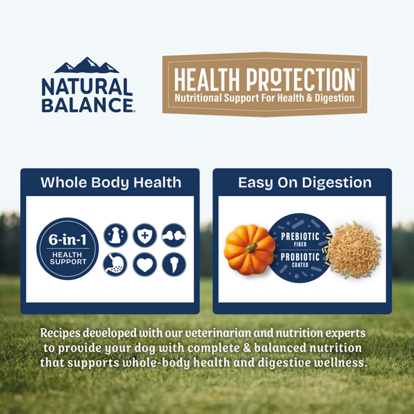 Natural Balance Health Protection Puppy Dry Dog Food, Chicken, Brown Rice & Pumpkin Recipe