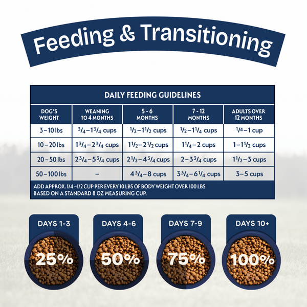 Natural Balance Health Protection Puppy Dry Dog Food, Chicken, Brown Rice & Pumpkin Recipe