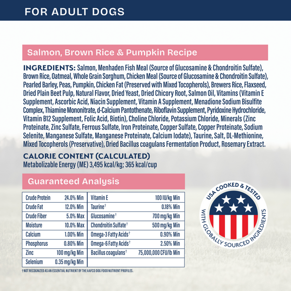 Natural Balance Health Protection Dry Dog Food, Salmon, Brown Rice & Pumpkin Recipe