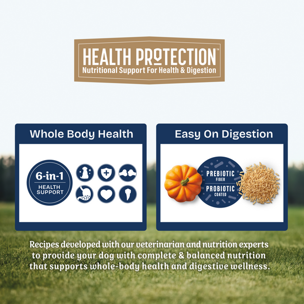 Natural Balance Health Protection Dry Dog Food, Salmon, Brown Rice & Pumpkin Recipe