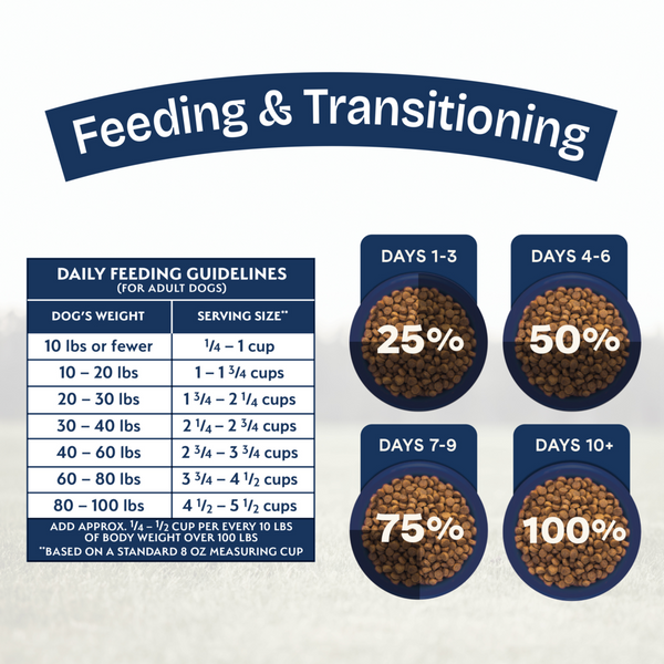 Natural Balance Health Protection Dry Dog Food, Lamb, Brown Rice & Pumpkin Recipe