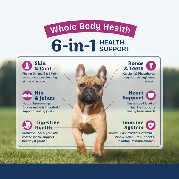 Natural Balance Health Protection Small Breed Dry Dog Food, Chicken, Brown Rice & Pumpkin Recipe