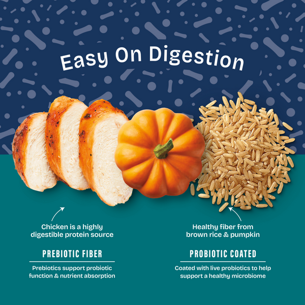 Natural Balance Health Protection Small Breed Dry Dog Food, Chicken, Brown Rice & Pumpkin Recipe