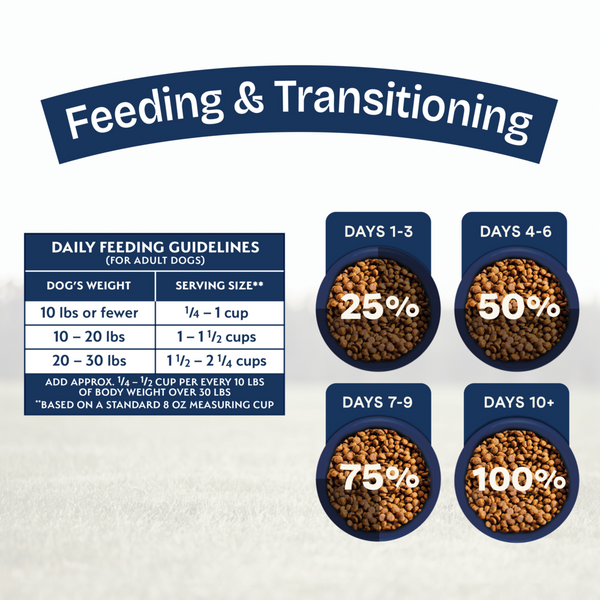 Natural Balance Health Protection Small Breed Dry Dog Food, Chicken, Brown Rice & Pumpkin Recipe