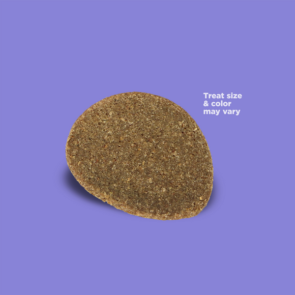 NutriSource Element Series Turkey & Venison Crispy Crispers