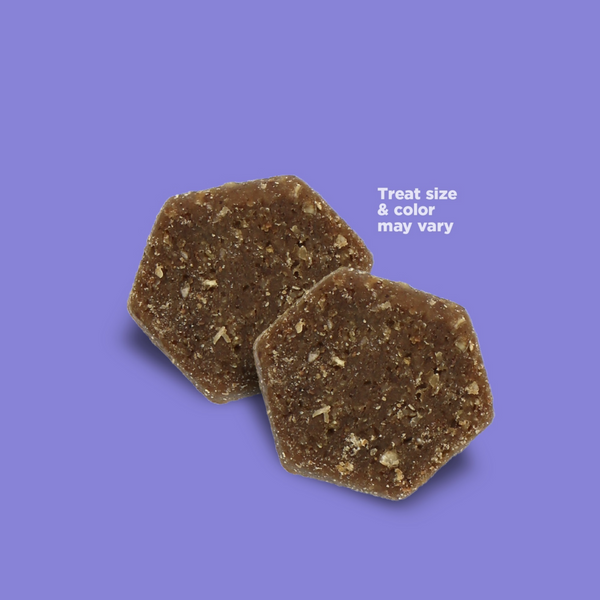 NutriSource Big Bite Chicken Dog Treat