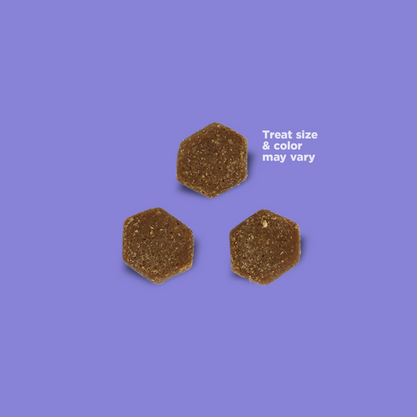 NutriSource GF Little Bites Turkey Dog Treat