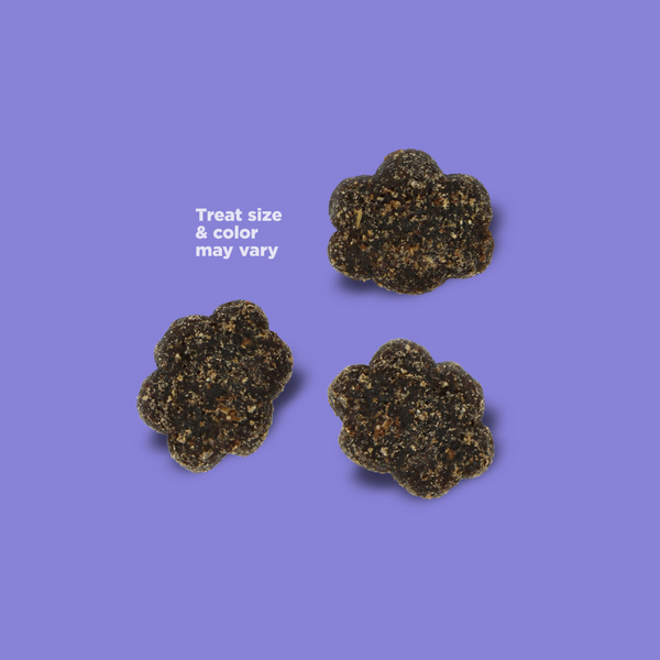 NutriSource Blueberry Almond Butter Nutty Butter Dog Bites