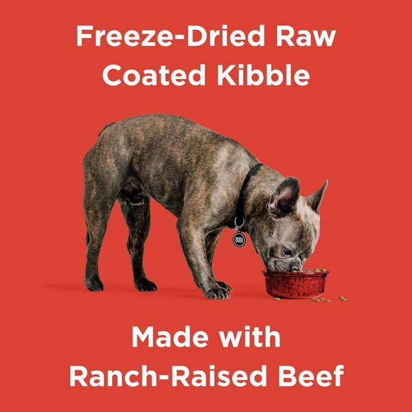 Bixbi Rawbble Freeze Dried Coated Beef Kibble Recipe for Dogs
