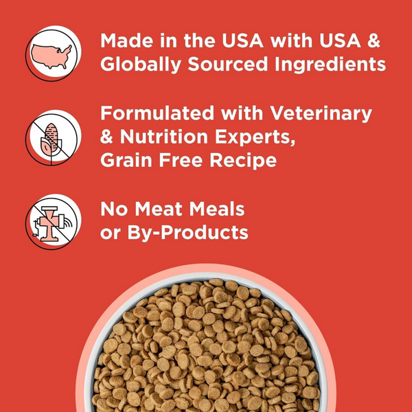 Bixbi Rawbble Freeze Dried Coated Beef Kibble Recipe for Dogs