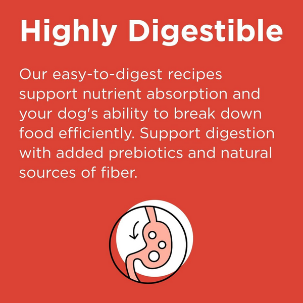 Bixbi Rawbble Freeze Dried Coated Beef Kibble Recipe for Dogs