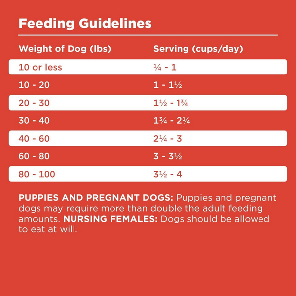 Bixbi Rawbble Freeze Dried Coated Beef Kibble Recipe for Dogs