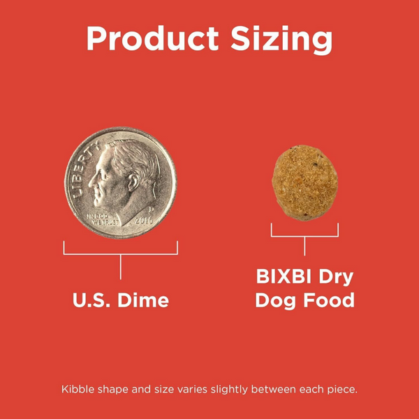 Bixbi Rawbble Freeze Dried Coated Beef Kibble Recipe for Dogs