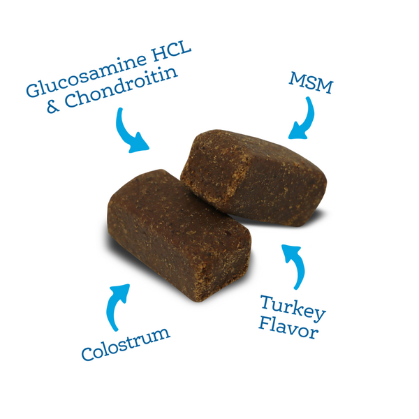 NutriSource AmpliFull Mobility Dog Soft Chew Supplement