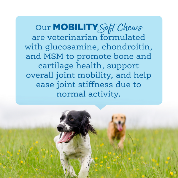 NutriSource AmpliFull Mobility Dog Soft Chew Supplement