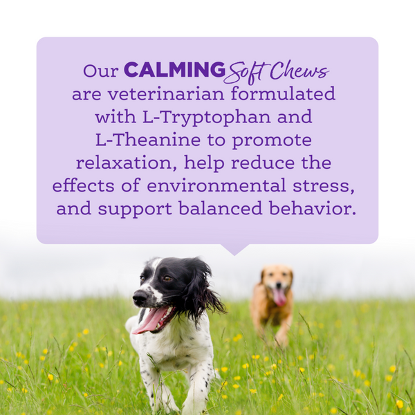 NutriSource AmpliFull Calming Dog Soft Chew Supplement