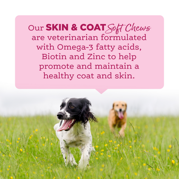 NutriSource AmpliFull Skin & Coat Dog Soft Chew Supplement
