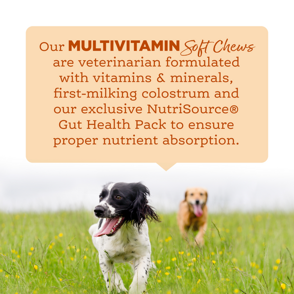 NutriSource AmpliFull MultiVitmain Dog Soft Chew Supplement