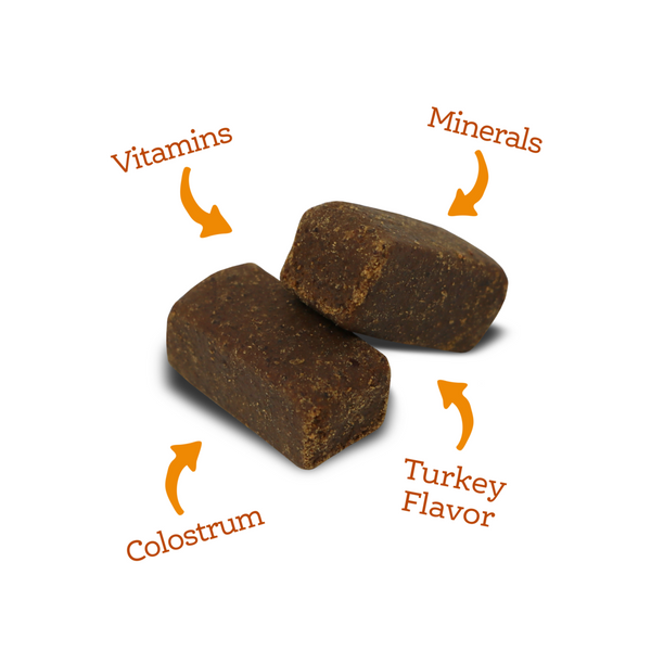 NutriSource AmpliFull MultiVitmain Dog Soft Chew Supplement
