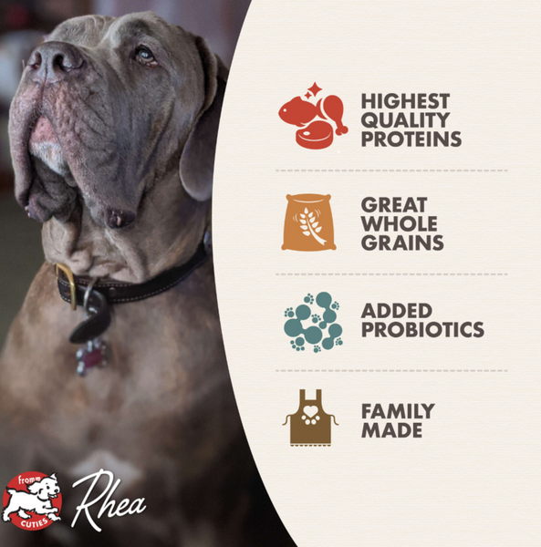 Fromm Classic Large / Giant Breed Dog Food