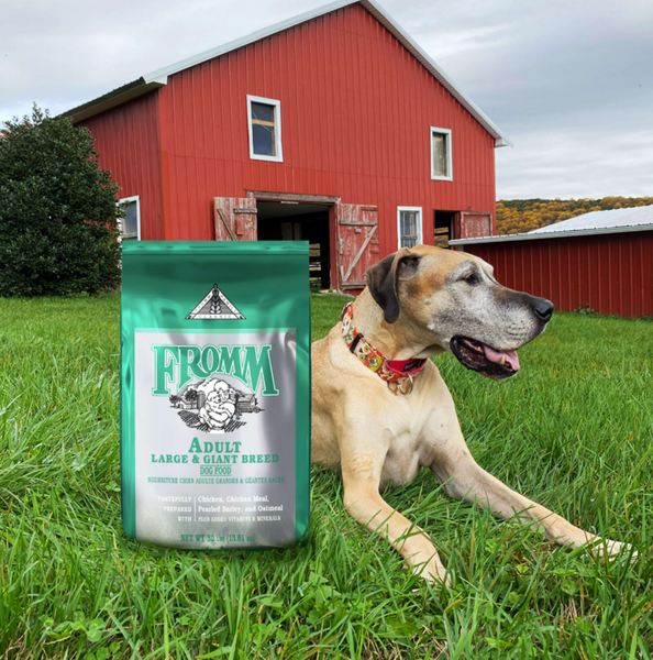 Fromm Classic Large / Giant Breed Dog Food