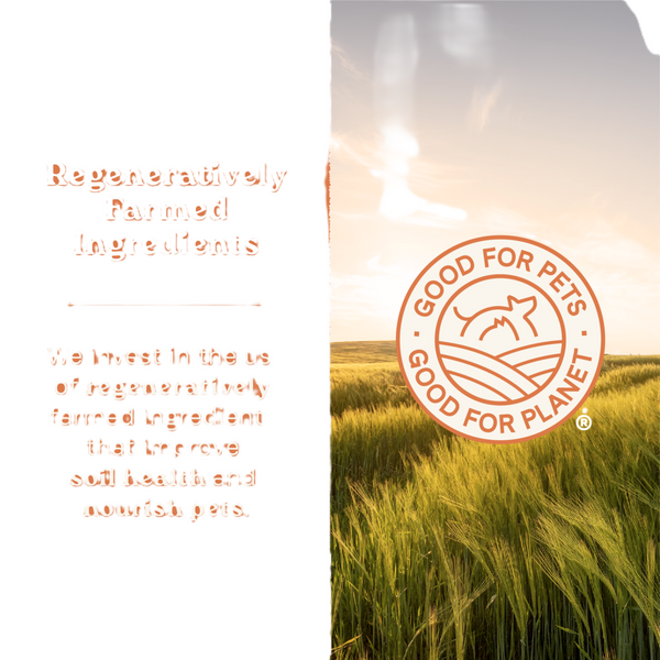 Canidae All Life Stages Dry Dog Food, High Protein Multi-Protein Recipe