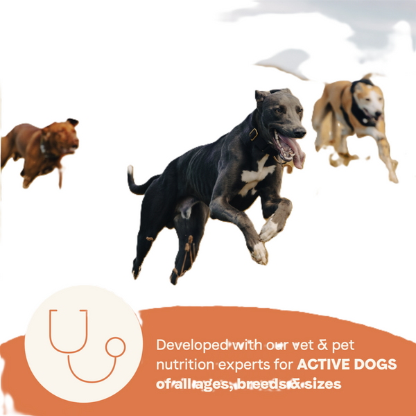 Canidae All Life Stages Dry Dog Food, High Protein Multi-Protein Recipe