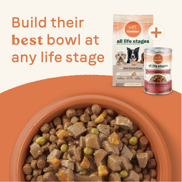 Canidae All Life Stages Wet Dog Food, Chunky Stew Toppers, Beef & Vegetable Recipe, 12.7 oz.