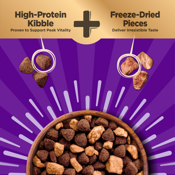 Wellness Core + Sensitive Skin & Stomach Salmon & Rice Dog Food