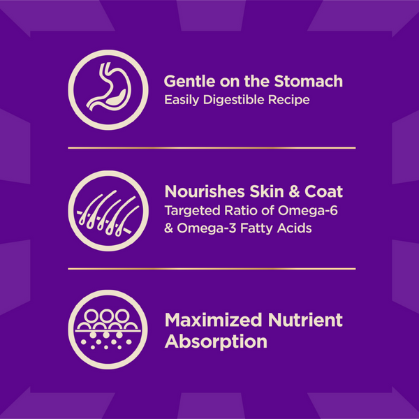 Wellness Core + Sensitive Skin & Stomach Salmon & Rice Dog Food