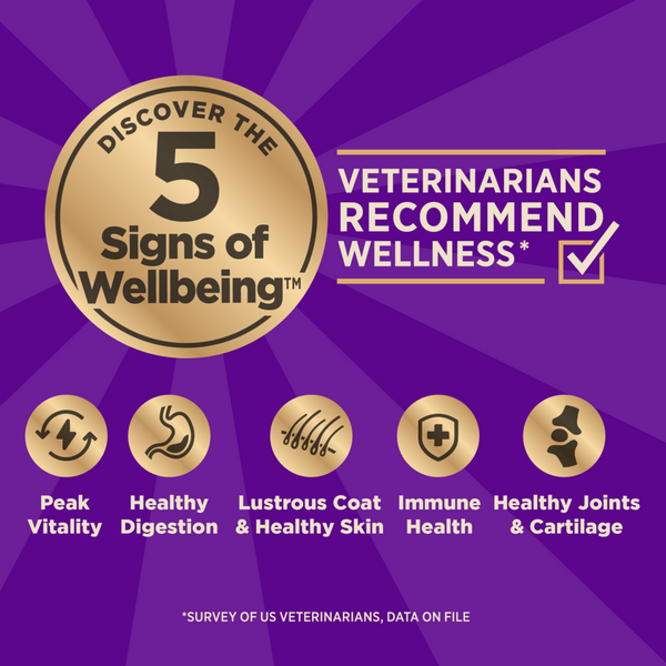 Wellness Core + Sensitive Skin & Stomach Salmon & Rice Dog Food