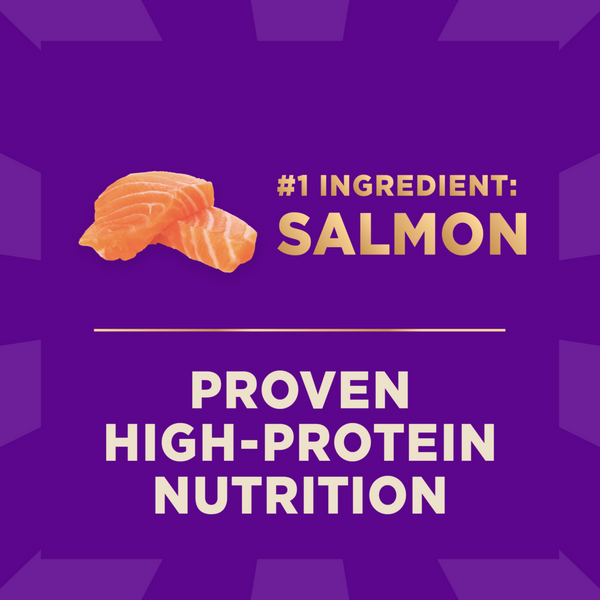 Wellness Core + Sensitive Skin & Stomach Salmon & Rice Dog Food