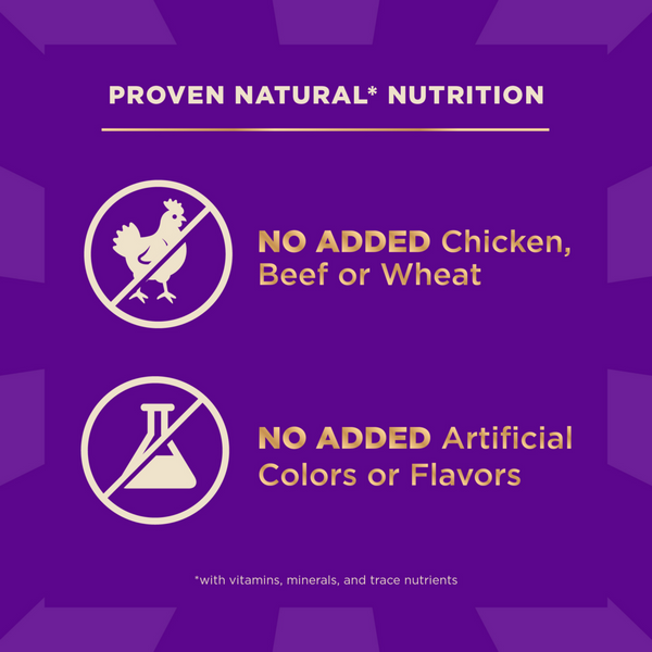 Wellness Core + Sensitive Skin & Stomach Salmon & Rice Dog Food