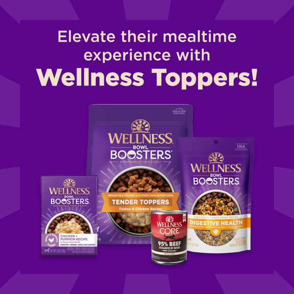 Wellness Core + Sensitive Skin & Stomach Salmon & Rice Dog Food