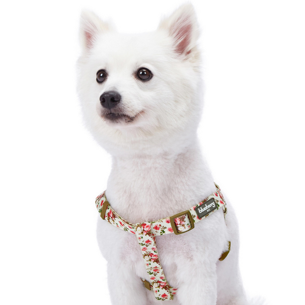 Blueberry Pet Step-in Spring Scent Inspired Adjustable Dog Harness, Pink Rose Print Ivory