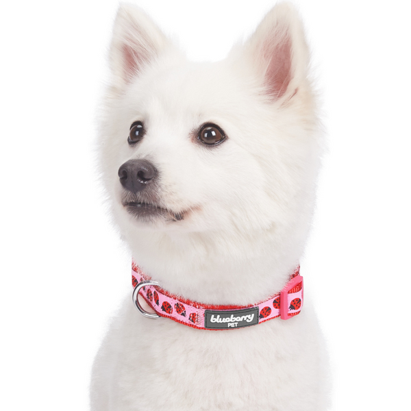 Blueberry Pet Ladybug Designer Basic Dog Collar