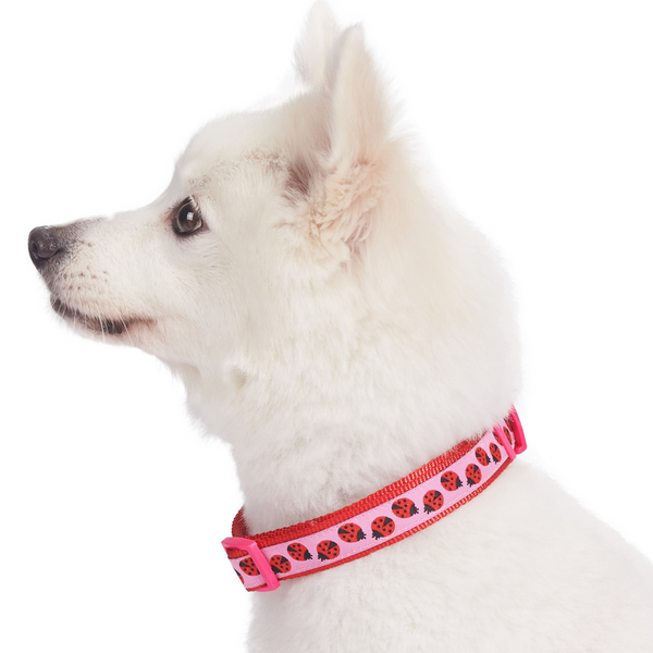 Blueberry Pet Ladybug Designer Basic Dog Collar