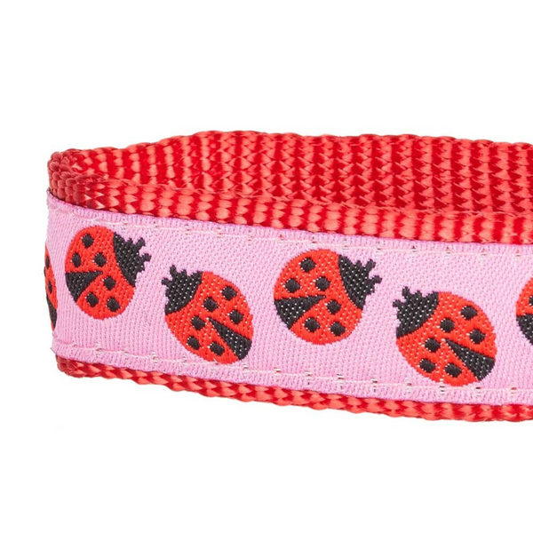 Blueberry Pet Ladybug Designer Basic Dog Collar