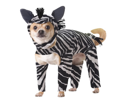 Animal Planet Zebra Dog Costume