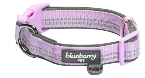 Blueberry Pet Soft & Comfy 3M Reflective Padded Lavender Dog Collar